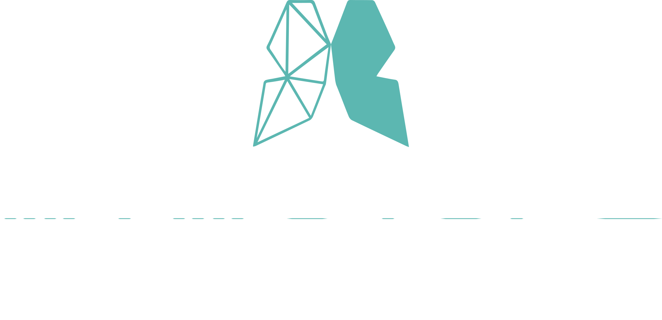 Mimetech Stone